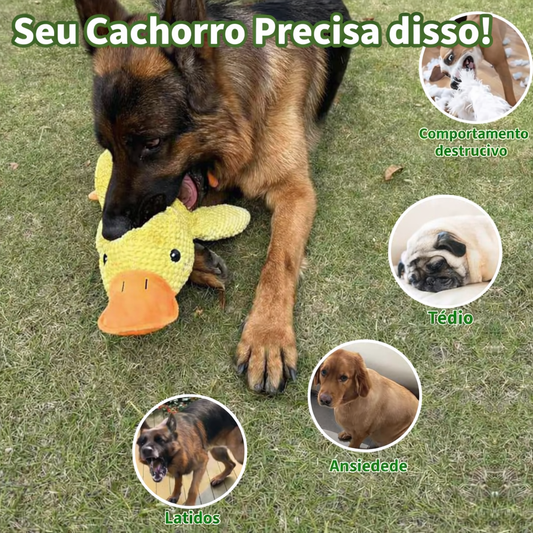 Brinquedo Interativo Resistente para Cães